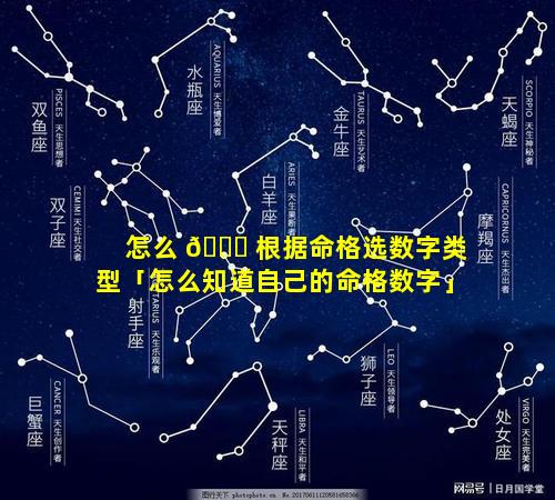 怎么 🐛 根据命格选数字类型「怎么知道自己的命格数字」